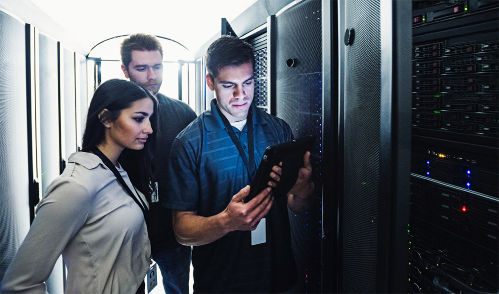 Coworkers checking server